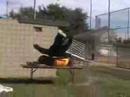 backyard wrestling