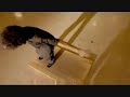 BLOCH - Jason Samuels Smith *(Full Commercial)*