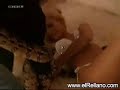mordisco de serpiente a cachonda en bikini mordisco de serpiente a cachonda en bikini