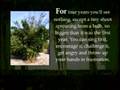 Inspiring Secrets About Persistence & Success -Bamboo Tree