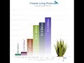 Forever Living Products - sales history worldwide