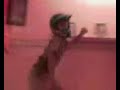mauritanian cop dancing mauritanian cop dancing