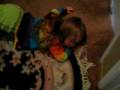 videos de Picture 331