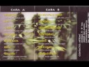 Krítika y Mensaje- Esencia ,Todo cambia (1999)