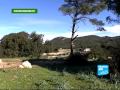 France 24 Environnement - Environnement - Développement Durable Et Politique: Tous En Campagne!