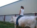 charline faisant de la vache
