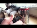 (uploaded by Rifat)&nbsp;Jet lighter VS Energy drink (can)