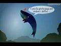 whale - greenpeace