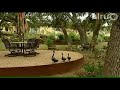 Sharon and Ben Jones: Central Texas Gardener Sharon and Ben Jones: Central Texas Gardener