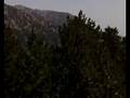 videos de Grecja