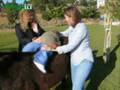 videos de O Mirante - CERCI Hipoterapia com Burros Azambuja 2008