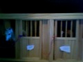 Sandy Brook Farm Interactive Tour END HERE!!!!!!!
