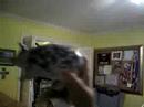 The sacred healing of the dove!!!1