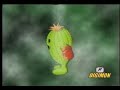 digimon adventure episodio 35 parte c  américa latina 