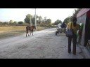 tulcea, tudor vladimirescu, traversare, incursiune la crasma