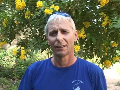 כוחות ההצלה בערבה