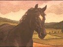 our mini-documentary series explores the stories behind well-known books. this week: anna sewell's black beauty.

for more great book-centric videos, go to www.bn.com/studio.