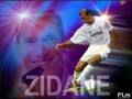 wadia+zohir