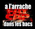 freestyle fat cap a l'arrache promo