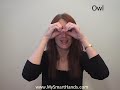 owl - ASL sign for owl