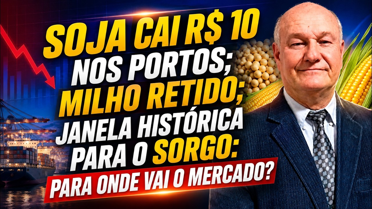 Soja Cai R$ 10 nos Portos; Milho Retido; Janela Histórica para o Sorgo: Para Onde Vai o Mercado?