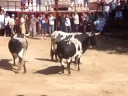 valfermoso 2008