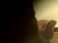 videos de The Box part 2