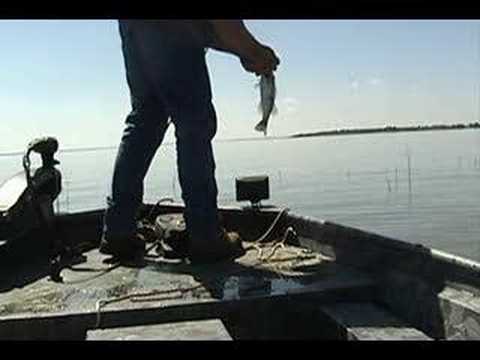 Fishing Pawnee Point