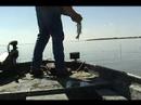 Fishing Pawnee Point
