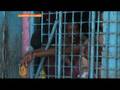 Crime pays for Somalia's pirates - 9 Oct 08