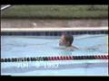 videos de 93 Mike Swimming YMCA
