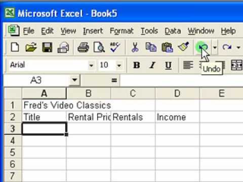 Microsoft Excel Tutorial for Beginners #2 - Get Started