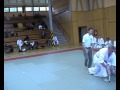 Ippon. Waki gatame