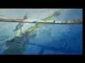 videos de anime and friends