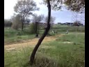 PIT BIKE MOTARD