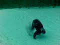 Retard doing flip in the snow)).mp4