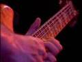 Grateful Dead - Scarlet Begonias (Part II)