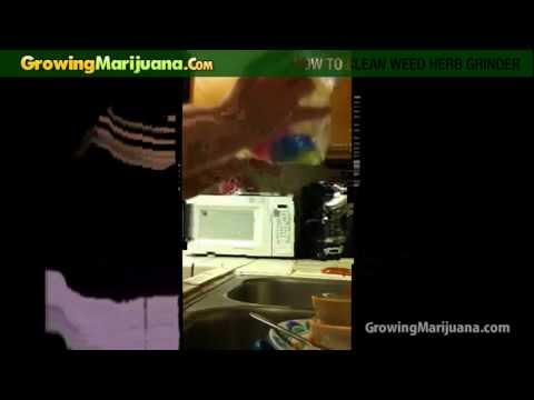 how to grow weed in pvc pipe