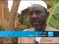 Mali: The land of the sacred tree