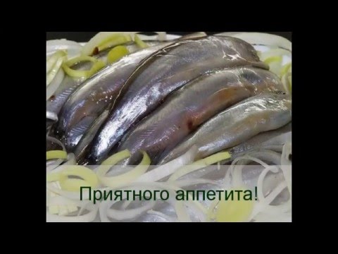 Как засолить мойву в домашних условиях быстро Как засолить мойву в домашних условиях быстро