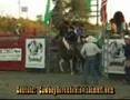 cowboy de rondonia
