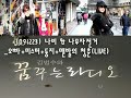 [091223] 나비 (Navi) &나무자전거 - 오빠+미스터+둥지+맨발의 청춘