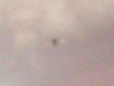 UFO Pictures Draco Probe Photos