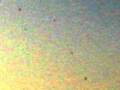 UFO Pictures Draco Probe Photos