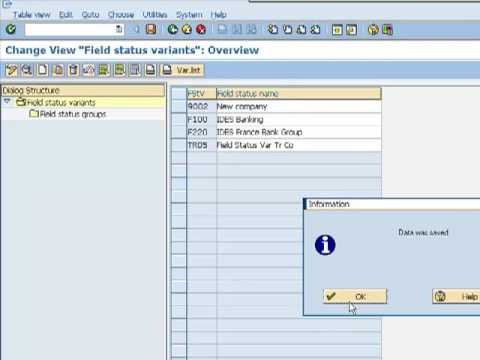 how to define fsv in sap