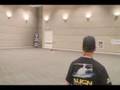 Jason Krause - Trex 500 - Walking the dog