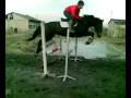 videos de Noreja05