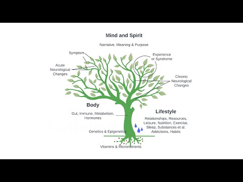 Introduction to Integrative Psychiatry