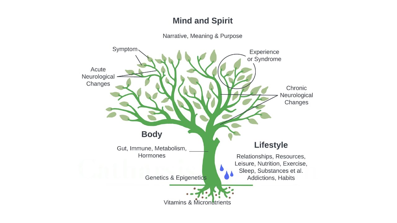 Introduction to Integrative Psychiatry