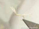 Fly Tying Lessons - The Brown Wulff Fly